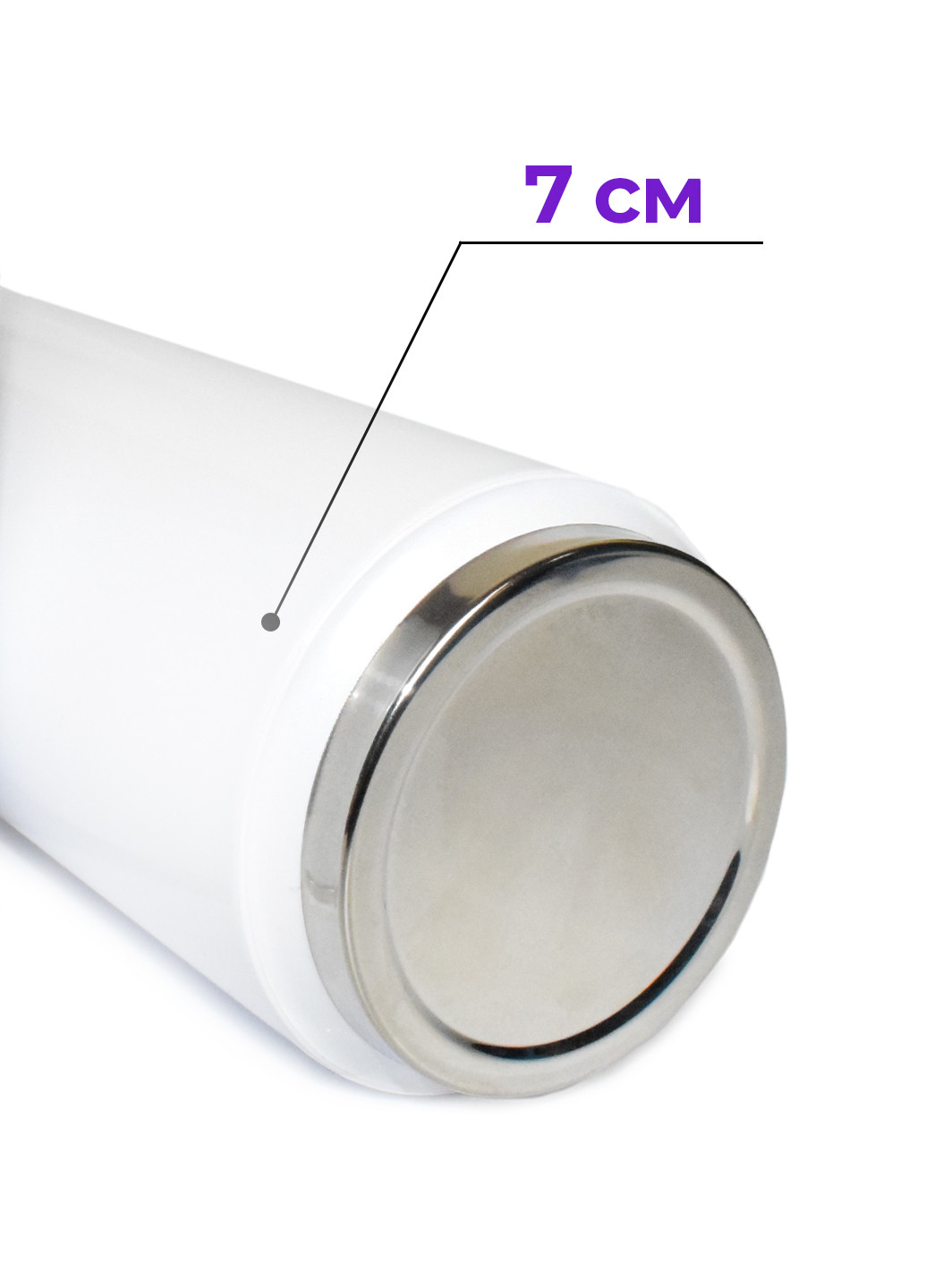 Термобанка Спайк Бравл Старс (Spike Brawl Stars) (31091-1013) термокружка MobiPrint (218988320)