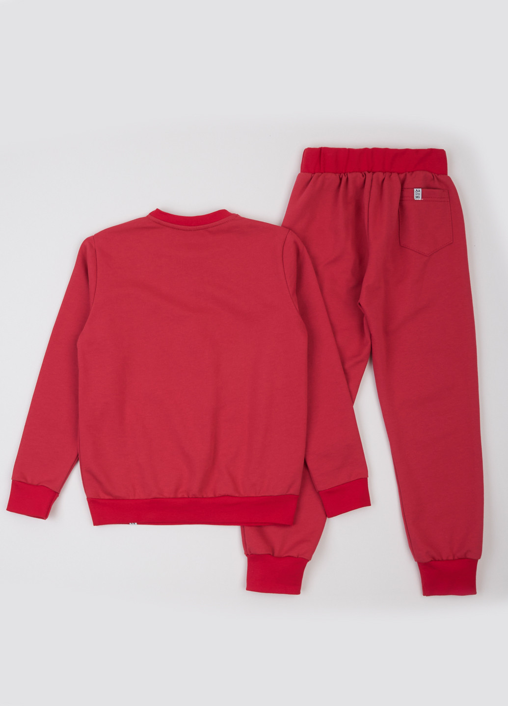 Костюм (свитшот, брюки) ArDoMi (316877947)