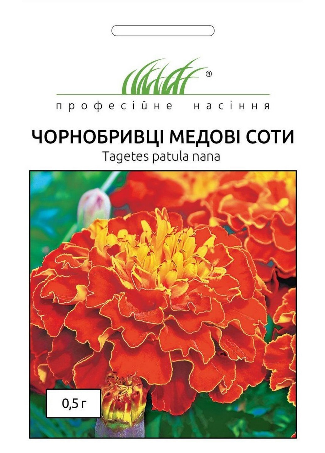 Насіння Чорнобривці Медові Соти 0,5 г Професійне насіння (215963505)
