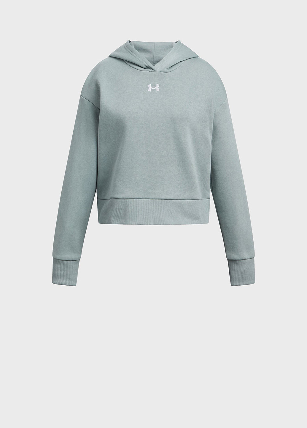 Худи Under Armour (328001298)