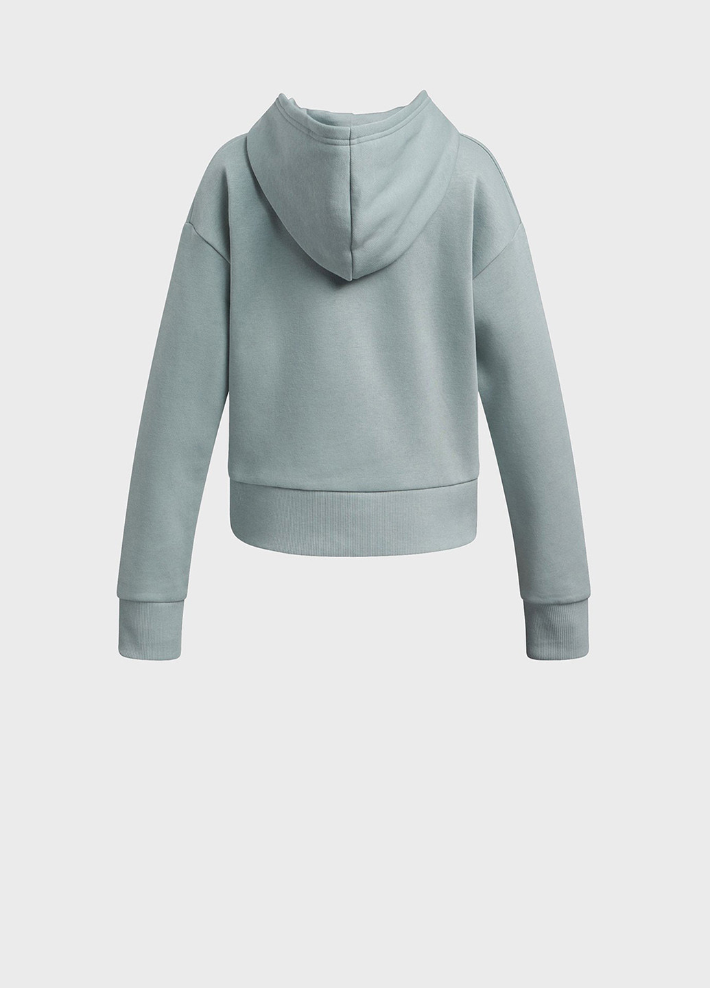 Худи Under Armour (328001298)