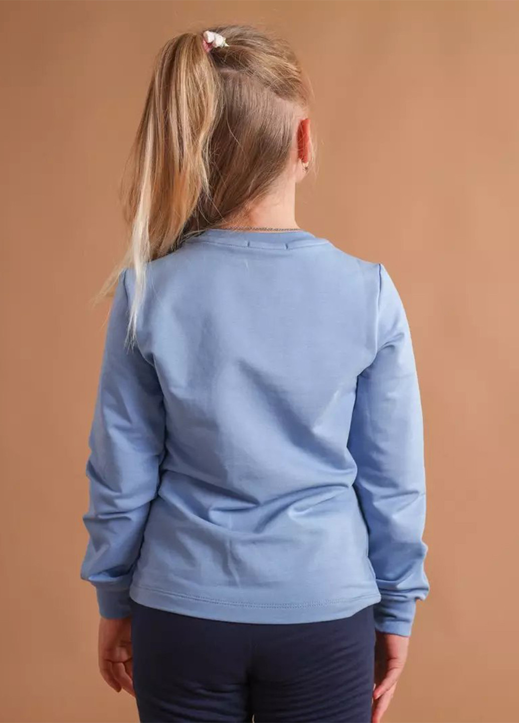 BBL свитшот надпись голубой кэжуал трикотаж, хлопок