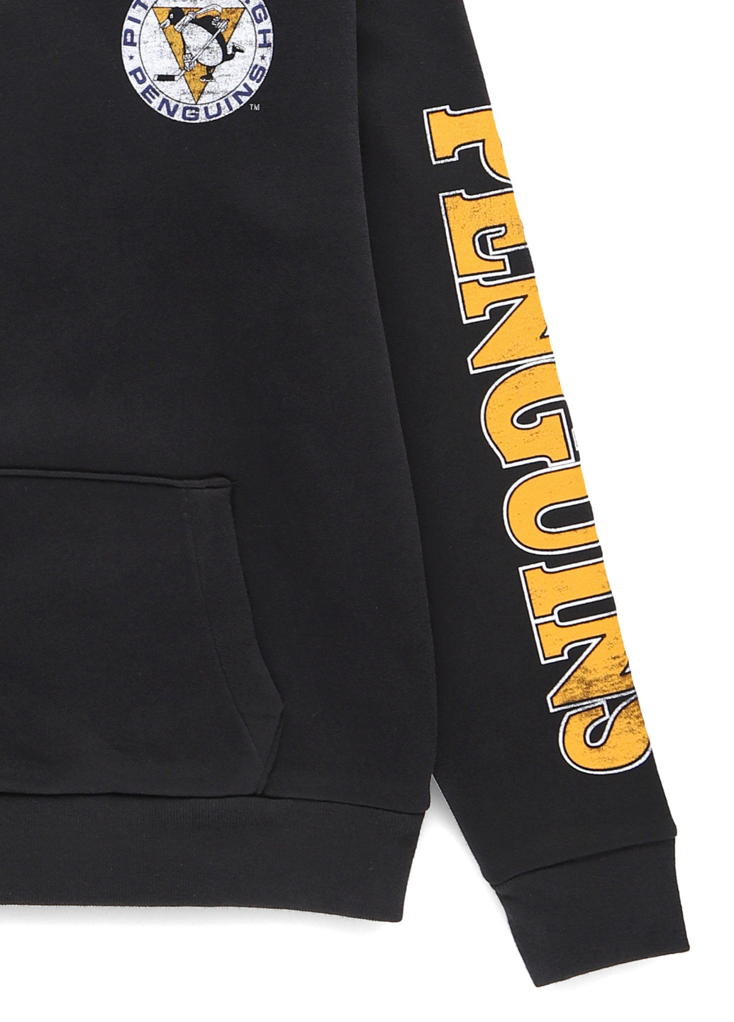 Худі Hollister (340453869)