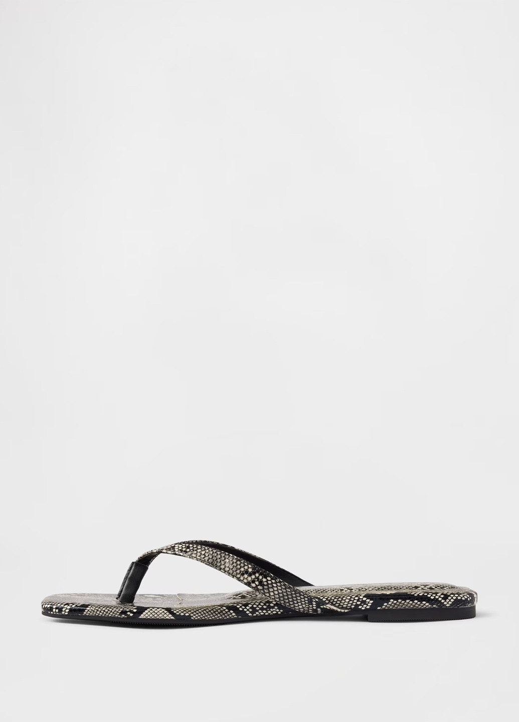 В'єтнамки Gap (369246738)