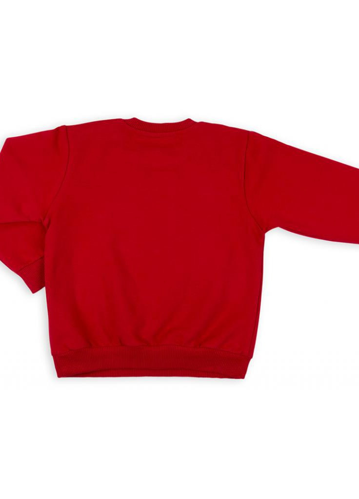 Бордовый демисезонный костюм десткий кофта с брюками "little tiger " (7214-98b-red) Breeze