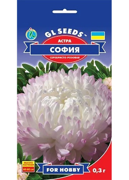 Насіння Айстра Софія 0,3 г GL Seeds (252372350)