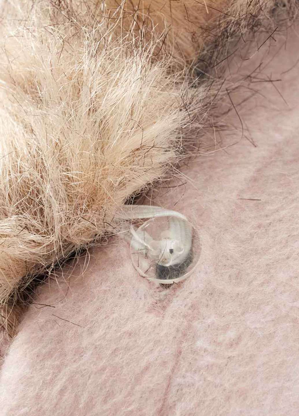 Бледно-розовое демисезонное Пальто двубортное C&A