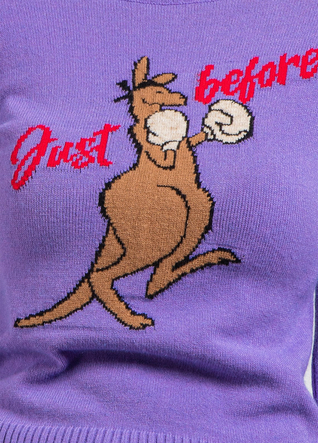 Фиолетовый зимний свитер J.B4 (Just Before)