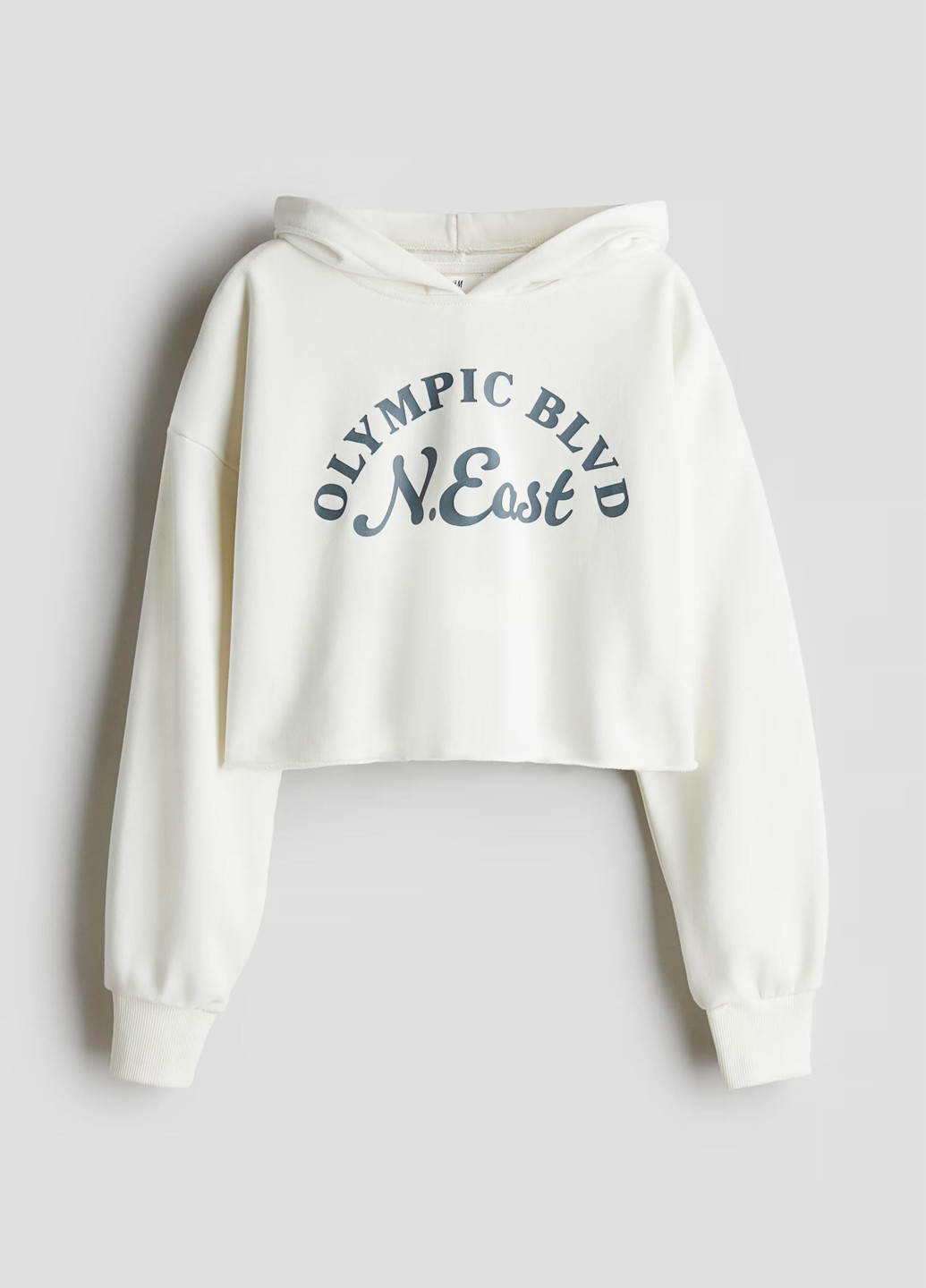 Худі H&M (369944247)