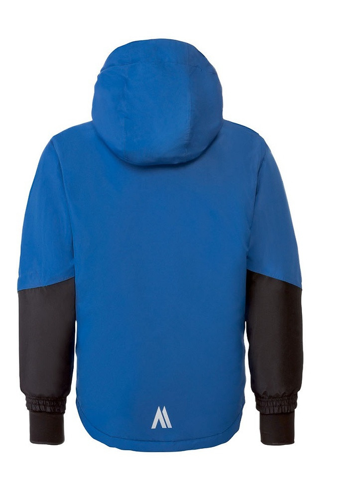 Зимняя лыжная куртка для мальчика Crivit (251918287)