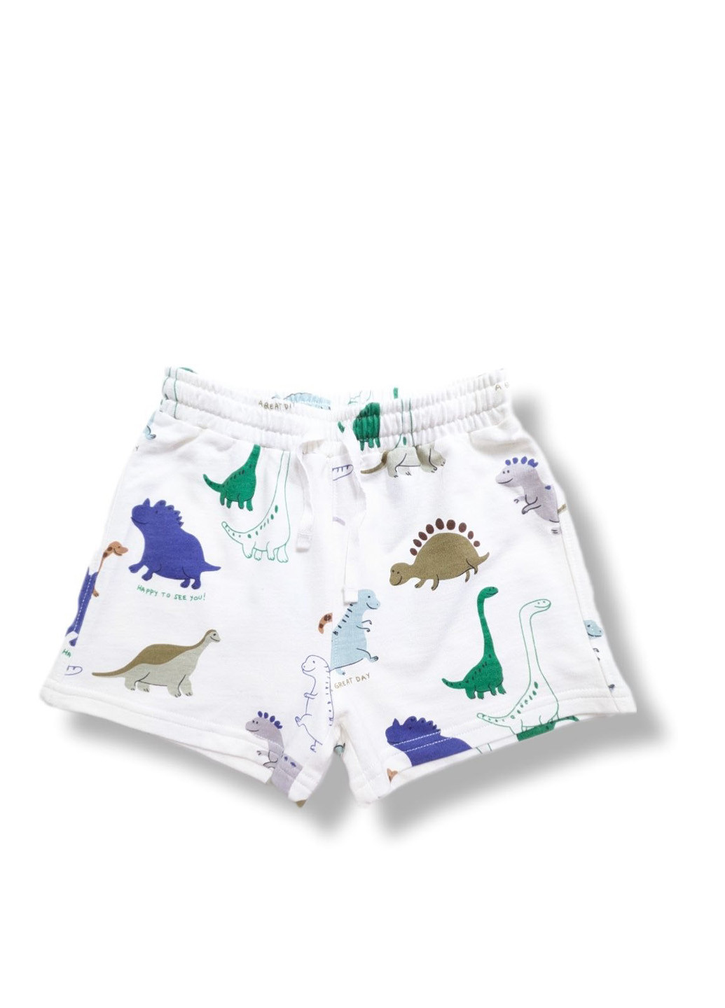 Шорти H&M (330577819)