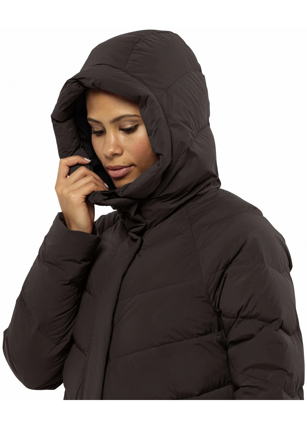 Темно-коричневый зимний Пуховик Jack Wolfskin