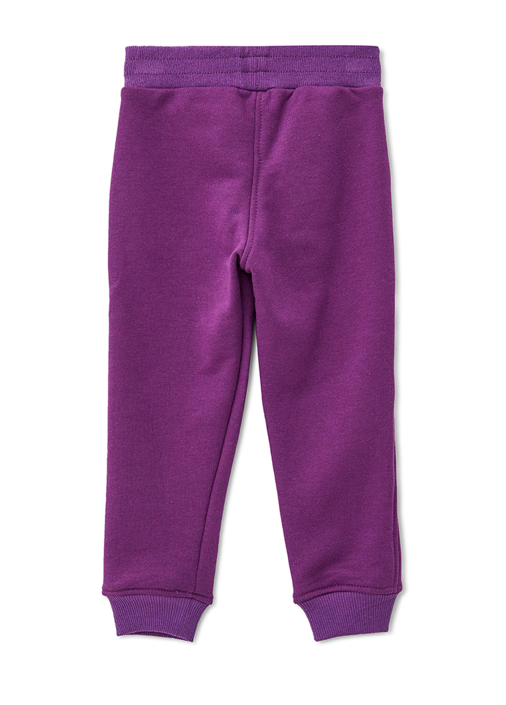 Фіолетовий зимній дитячий демісезонний костюм Sorelle