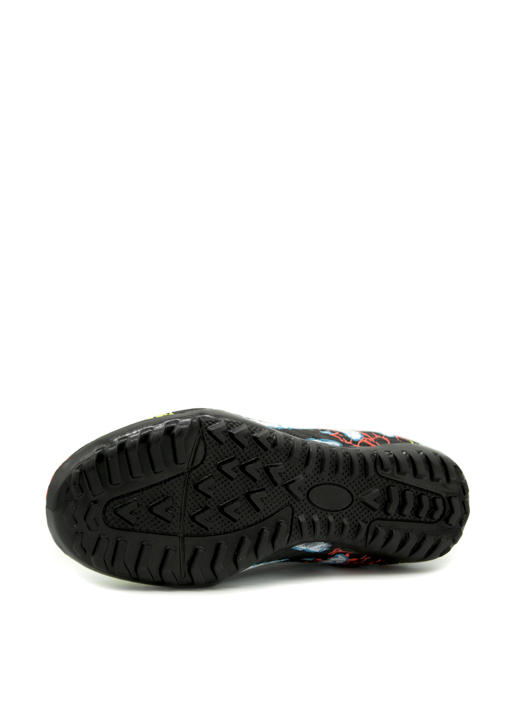 Сороконожки LaLiga (364294281)