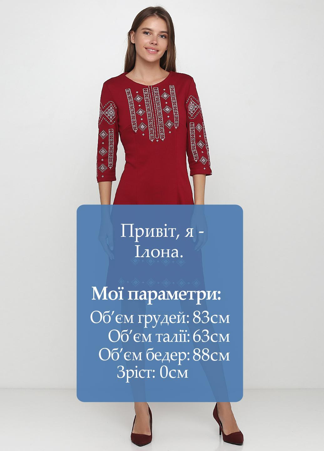 Вышиванка ЕтноМодерн платье (150530268)