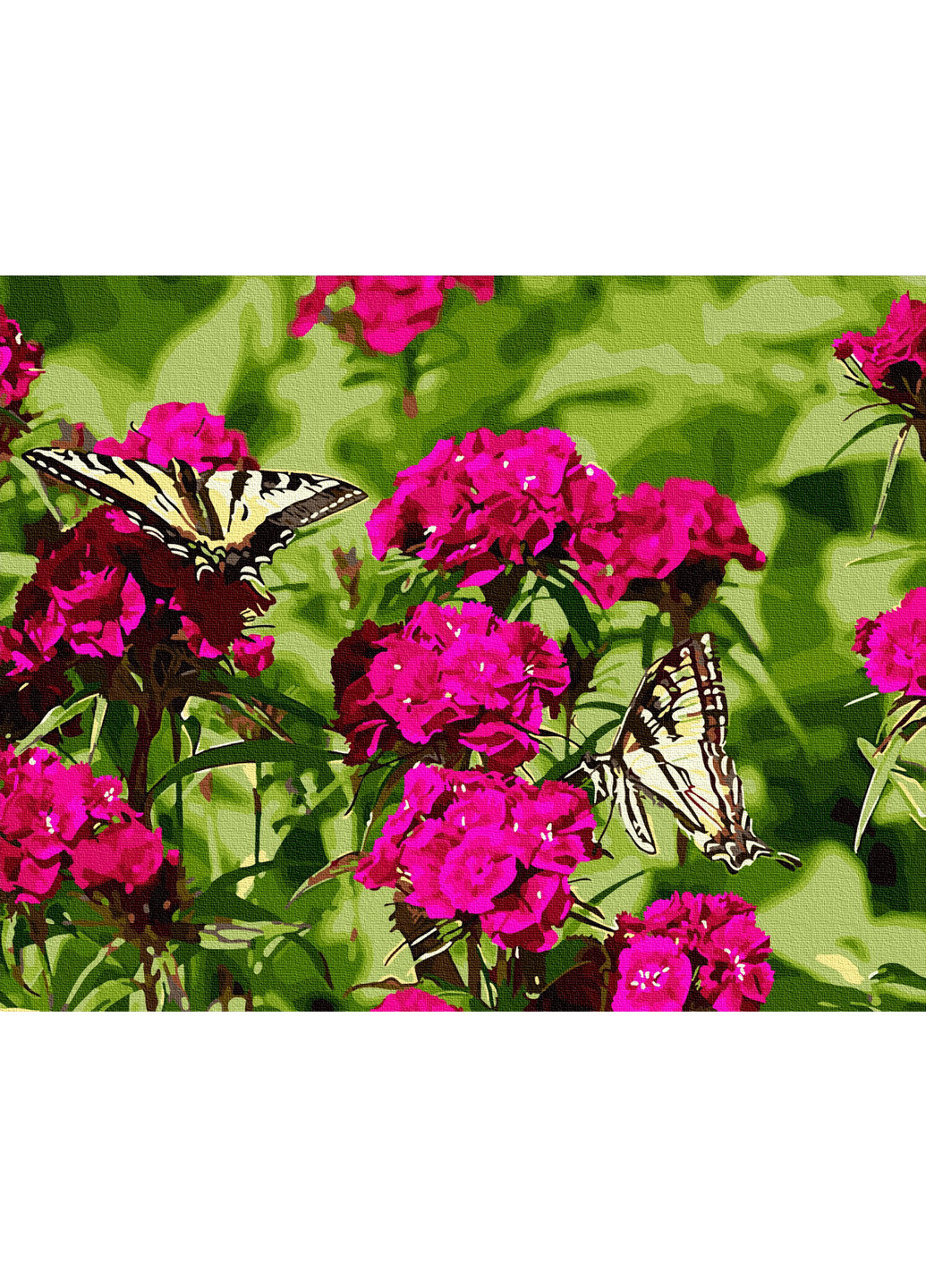 Картина по номерам "Бабочки на цветах" 40х50 см Brushme (199230562)