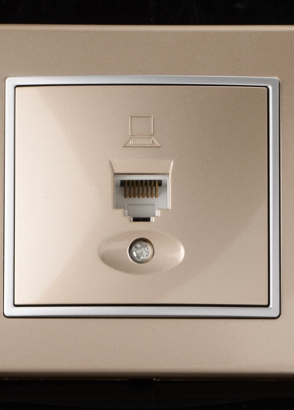 Розетка компьютерная шампань LB-1PC iv Brille (253967268)