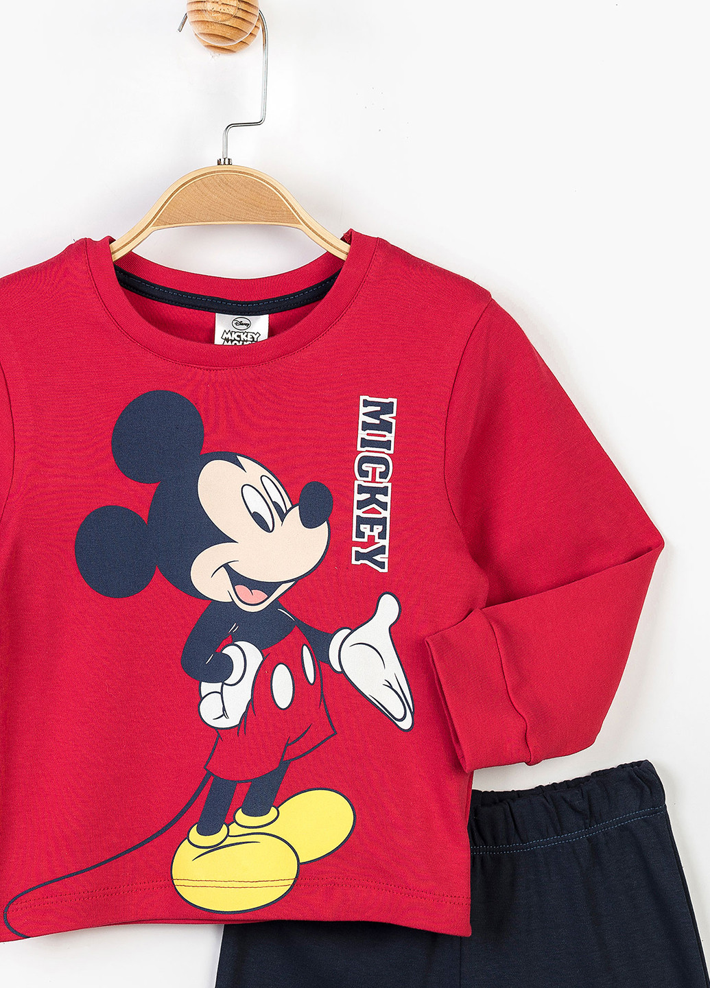 Красный демисезонный комплект (свитшот, брюки) Disney