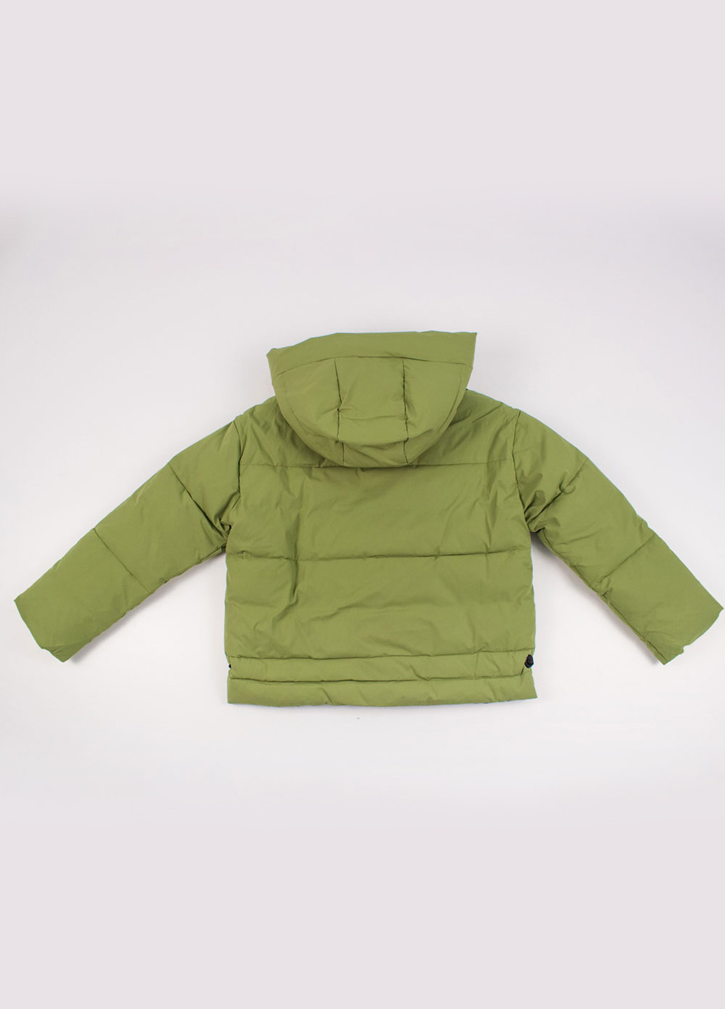 Светло-зеленая зимняя куртка Towmy