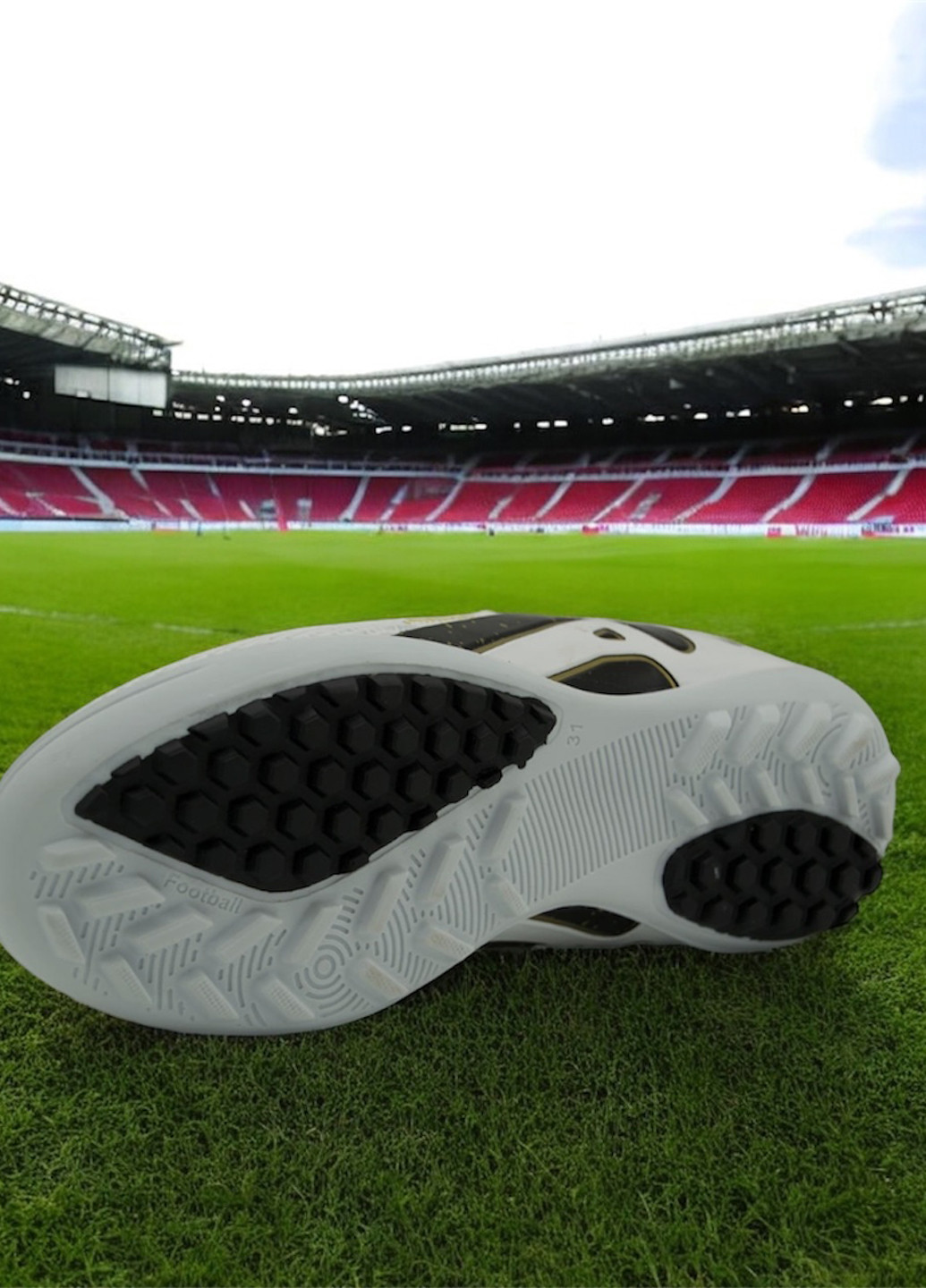 Сороконіжки Walked (334003637)