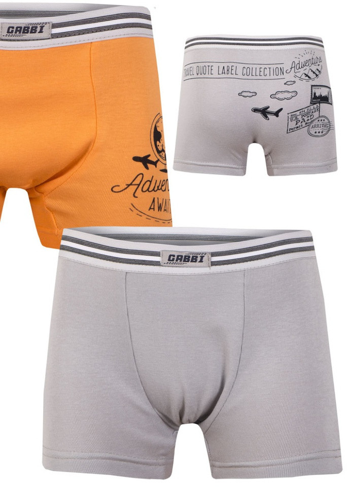 Детские трусы-шорты для мальчика *Марки* (2 шт.) Габби (250338282)