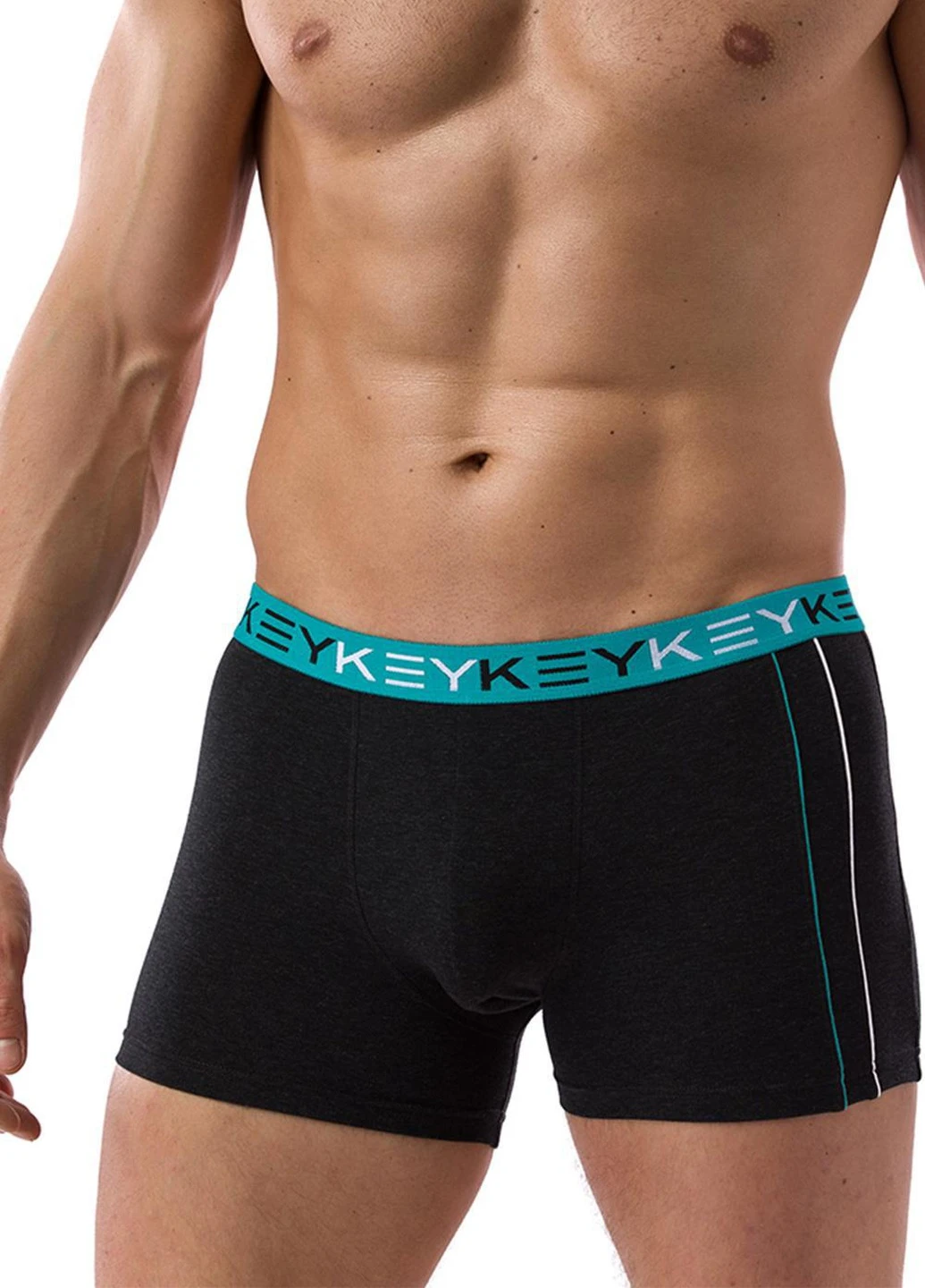 Труси-шорти чоловічі XXL темно-сірий MXH 227 B21 Key (254321199)