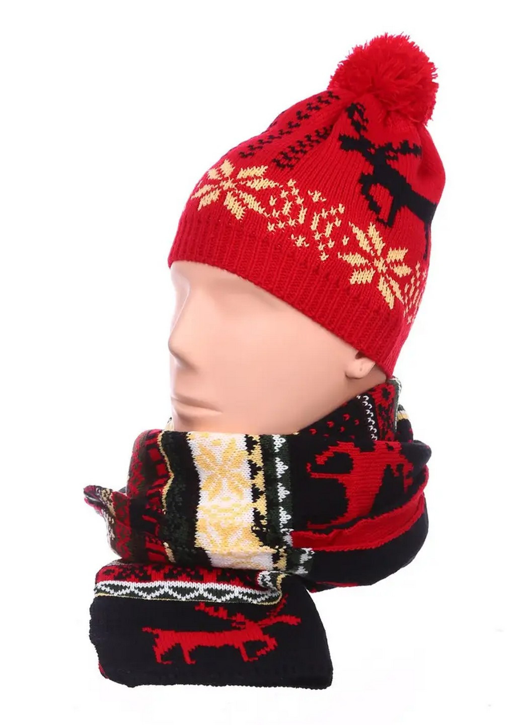 Комплект шапка та шарф Altum (254345438)