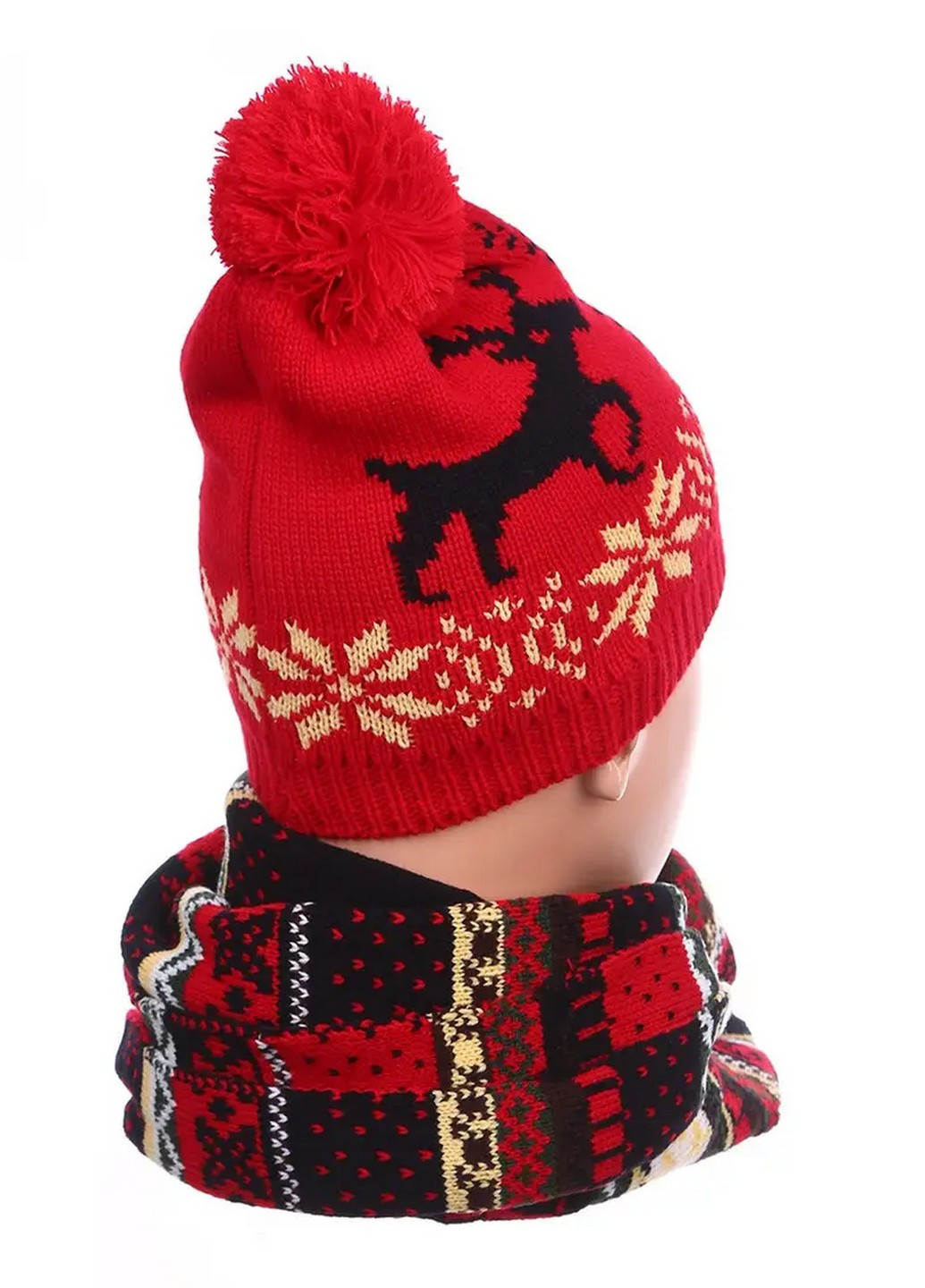 Комплект шапка та шарф Altum (254345438)