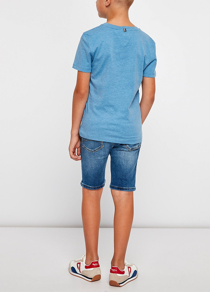 Голубая демисезонная футболка для мальчиков Tommy Hilfiger