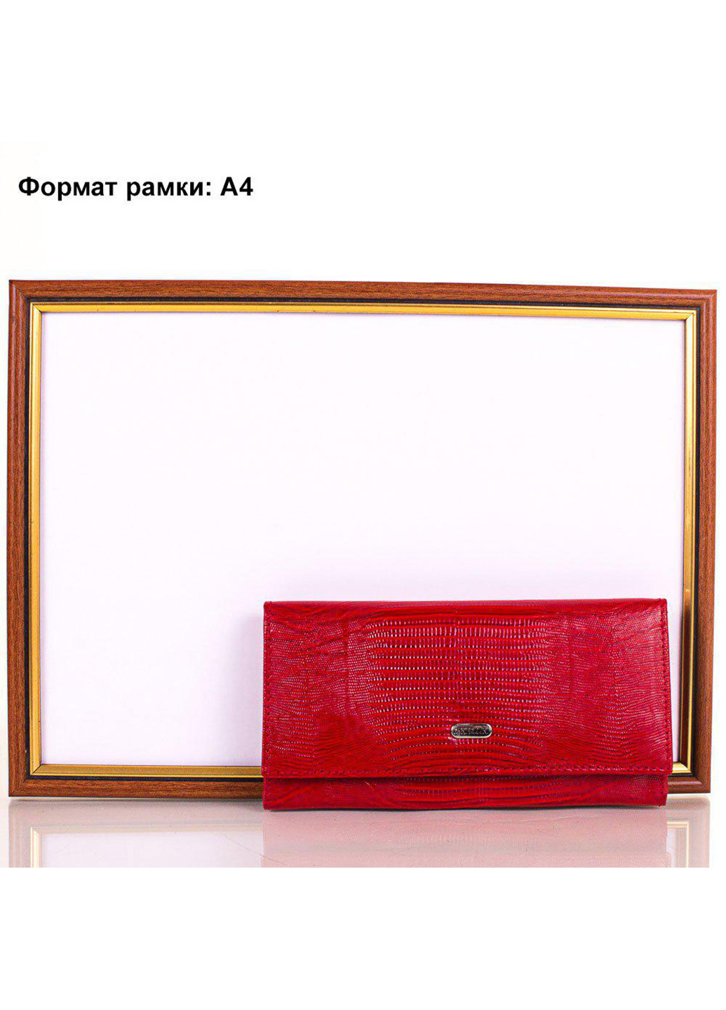 Жіночий шкіряний гаманець 17,5х9х2 см Canpellini (252128014)