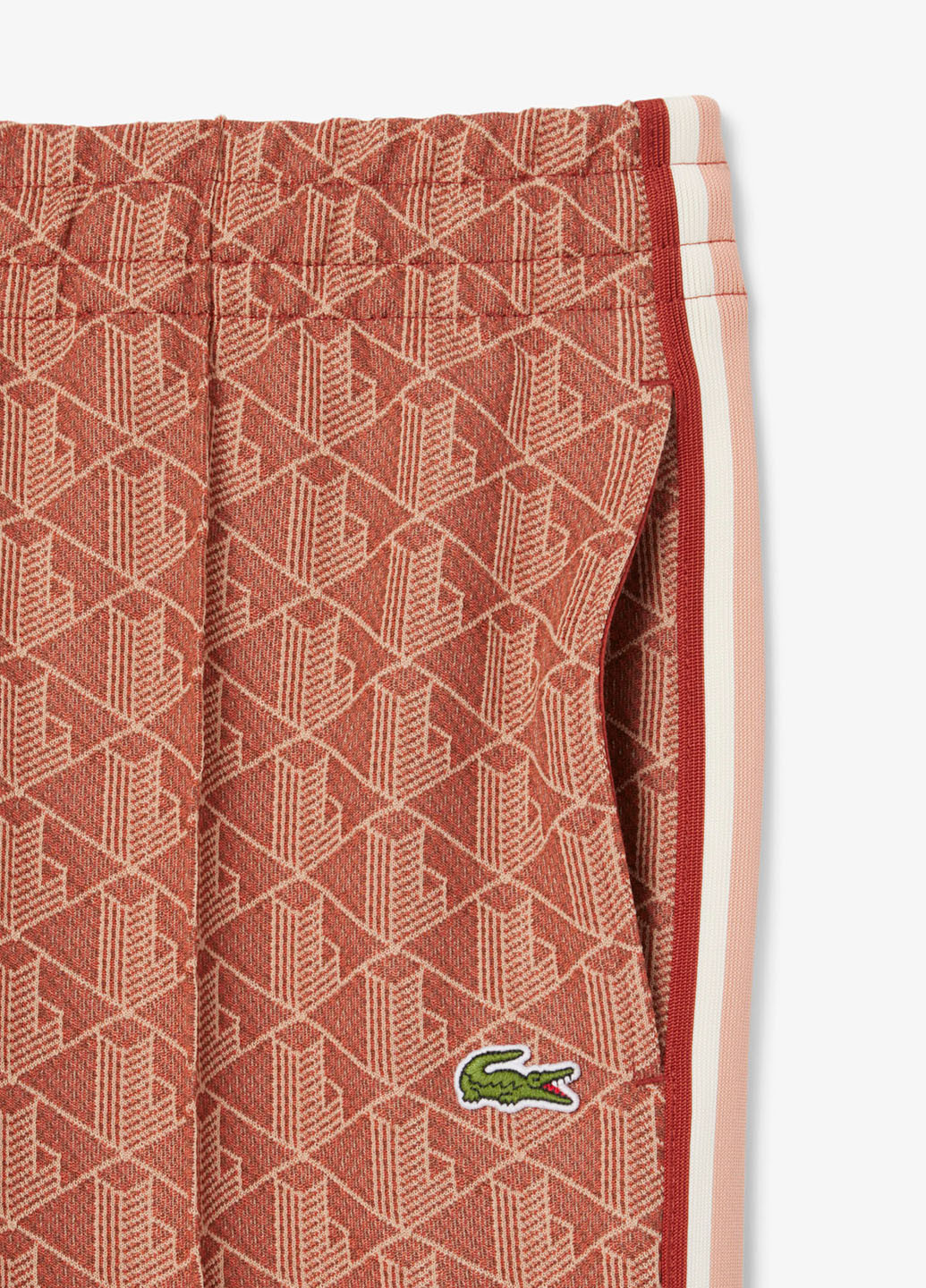 Штани Lacoste (363646905)