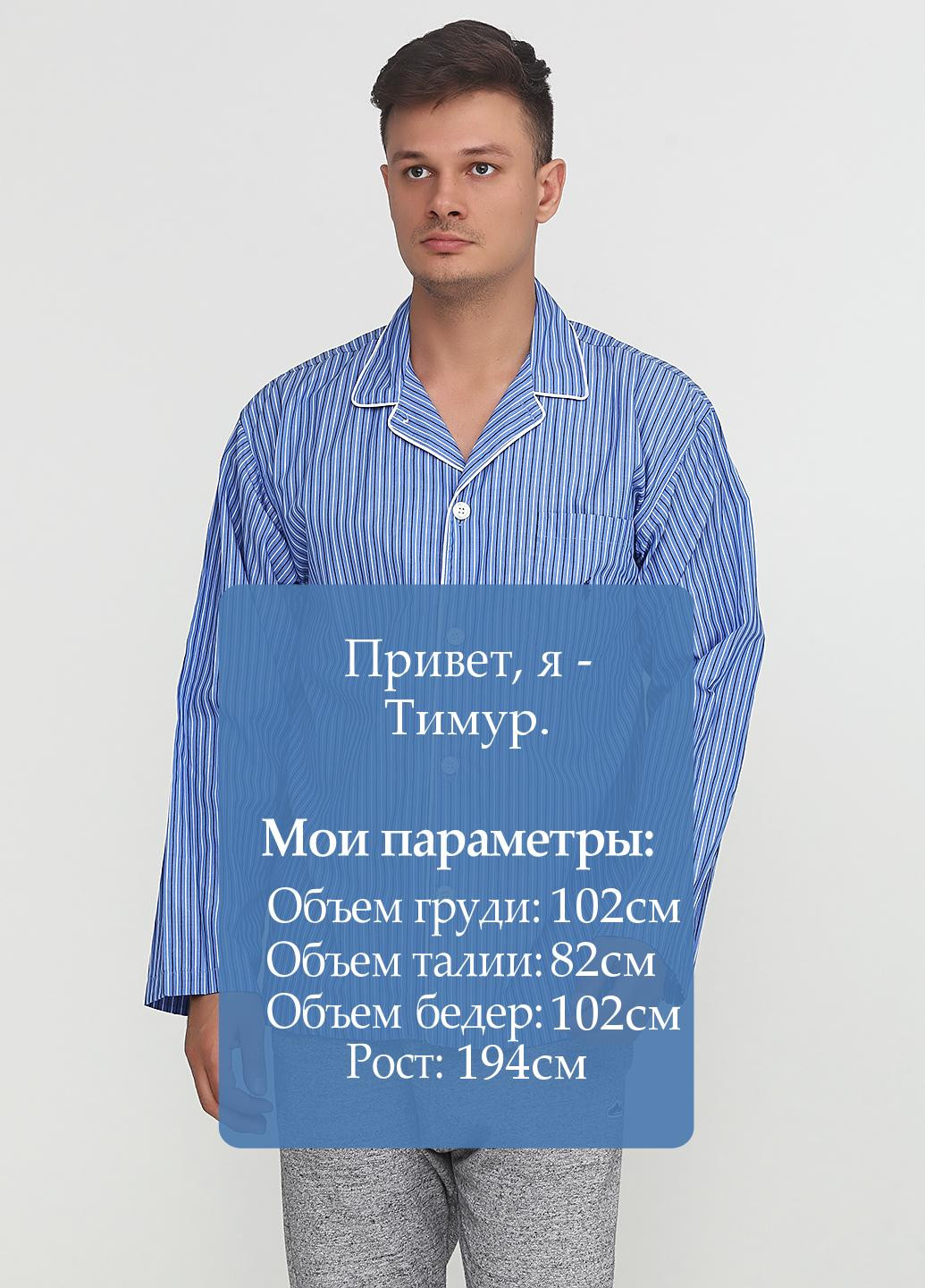 Голубой домашний рубашка в полоску Ralph Lauren