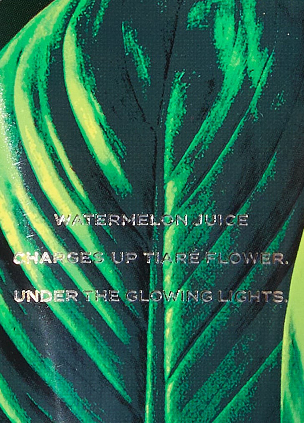 Подарунковий набір (4 пр.) Victoria's Secret (370300162)