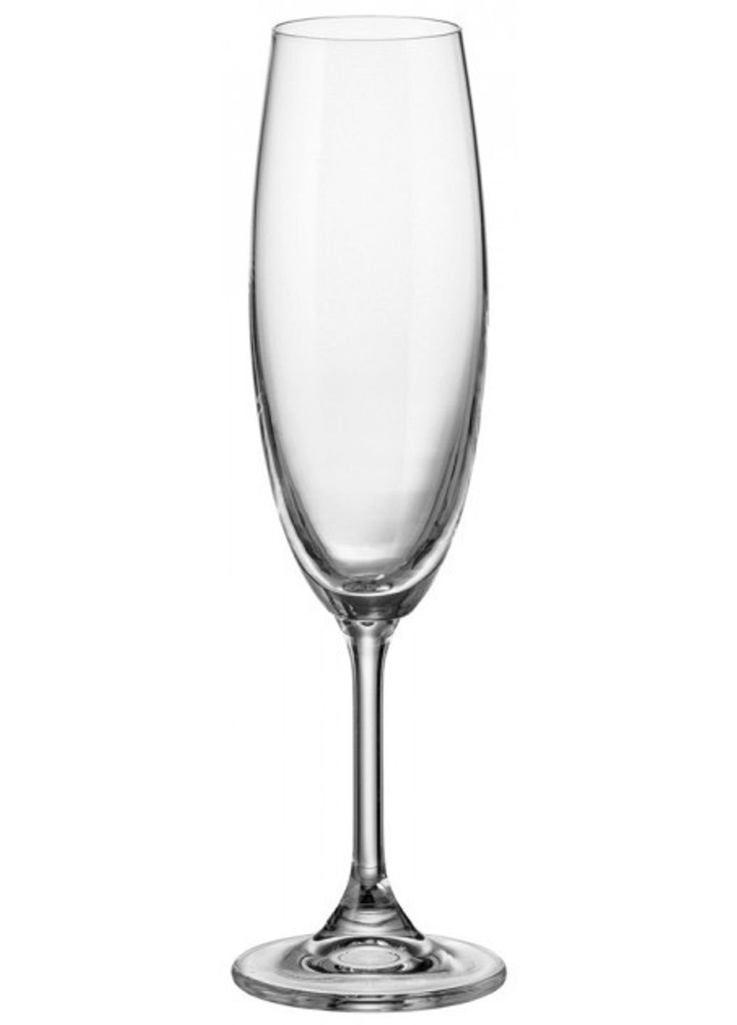 Набор бокалов для шампанского 220 мл 6 шт Sylvia Klara 4s415/00000/220 Bohemia (253583546)