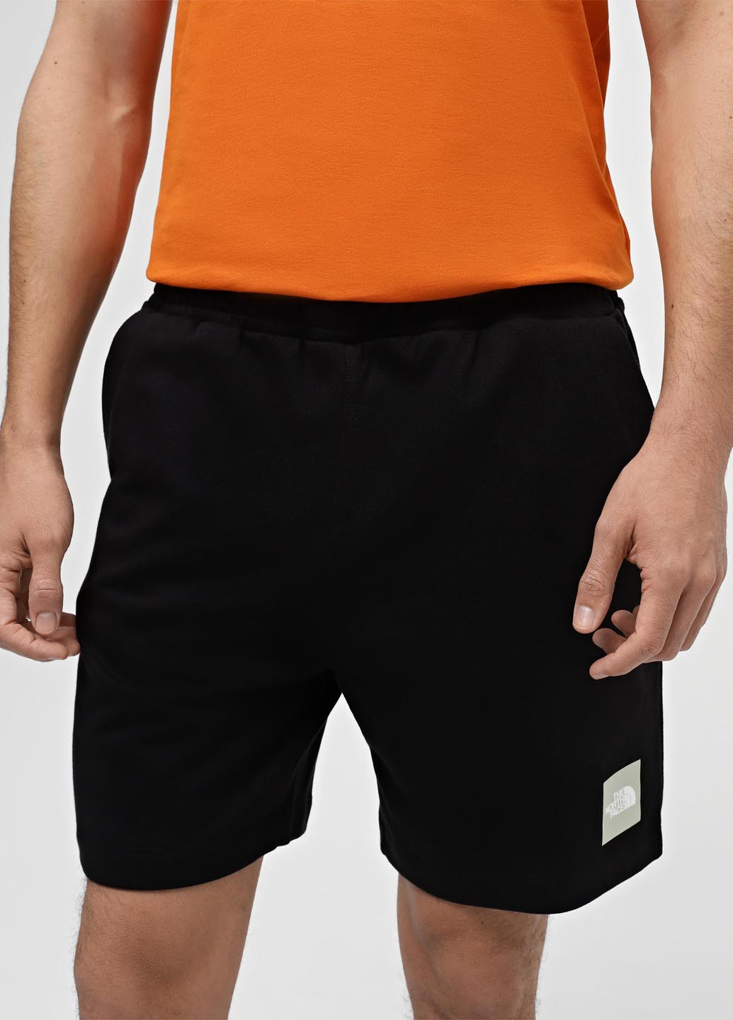 Шорты The North Face (330361443)