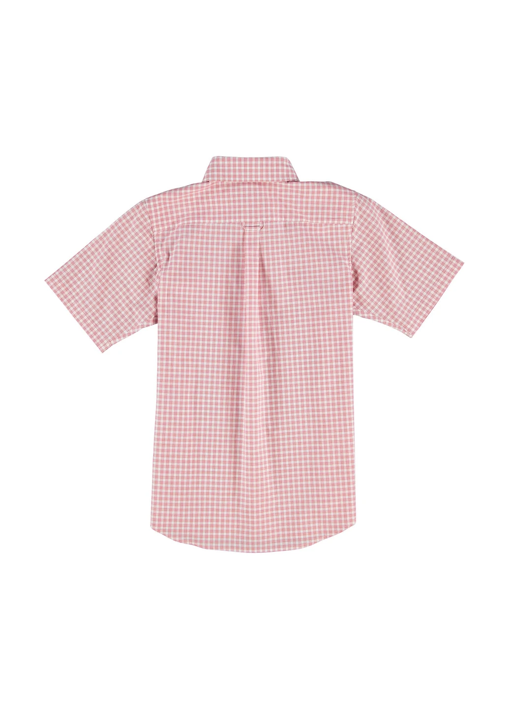 Сорочка Lacoste (250214245)