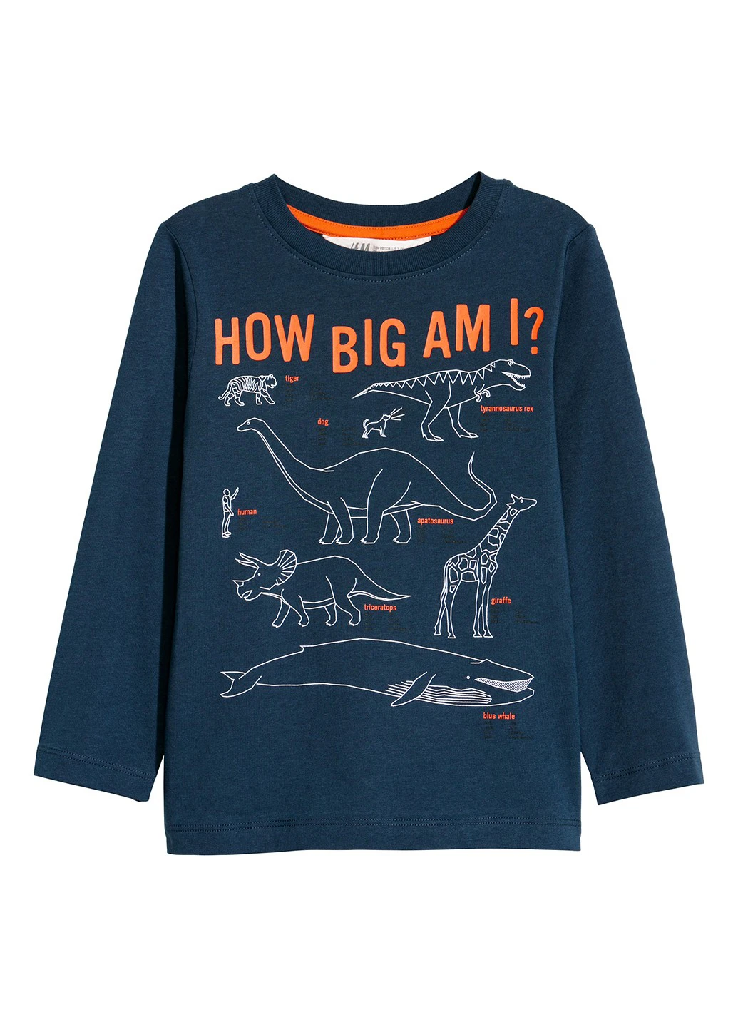Лонгслив H&M (118110206)