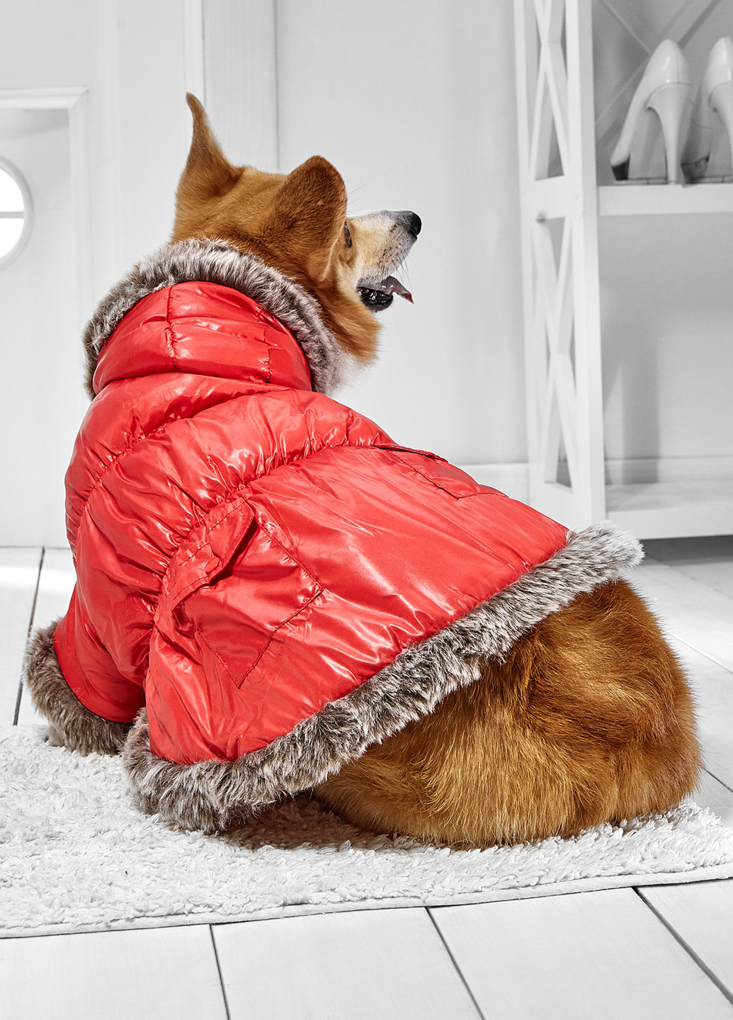 Куртка Pets (110520118)