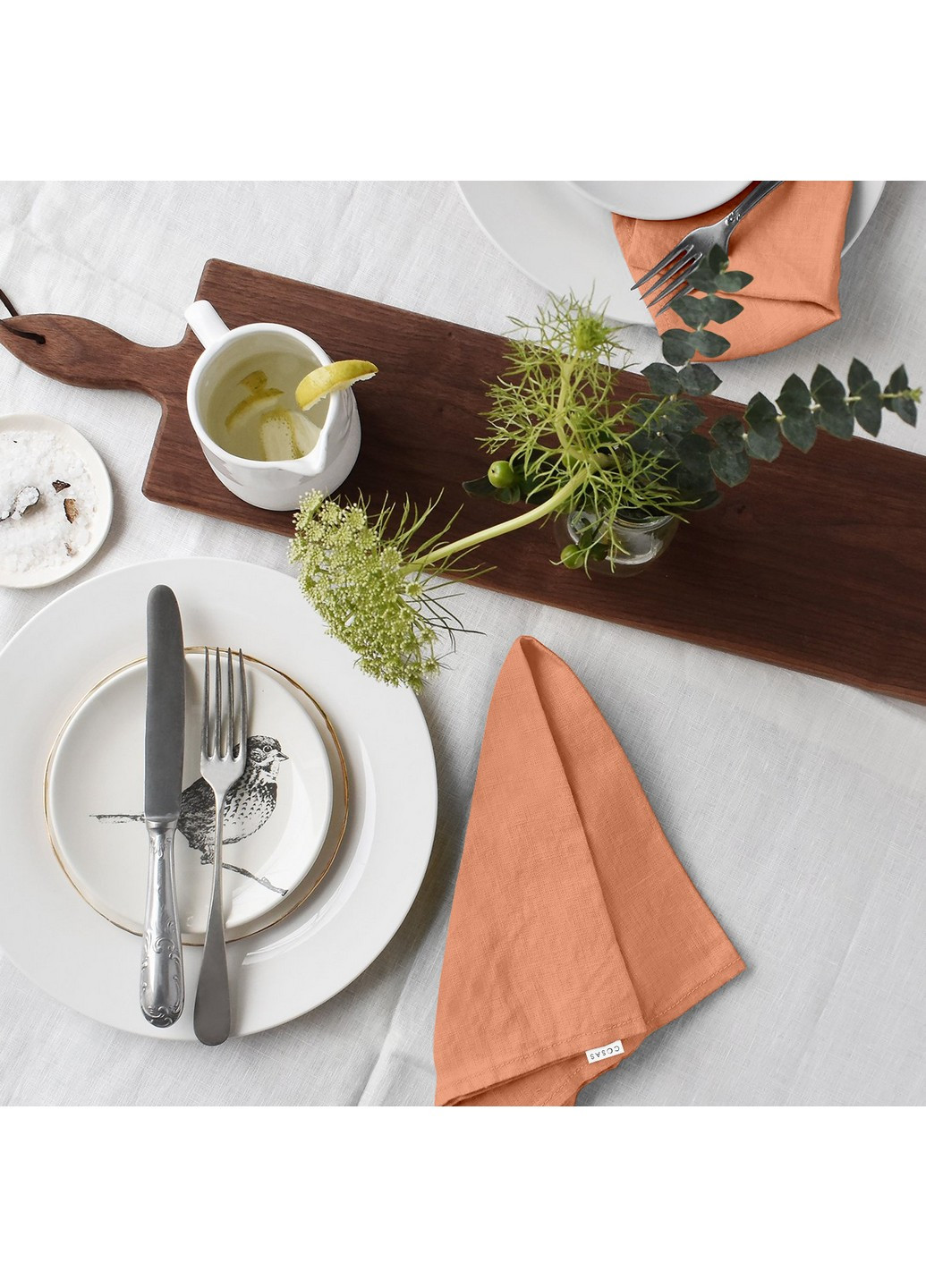 Набор из 4-х салфеток 30х30 Ranfors Terrakot (4822052073353) Cosas (252470950)