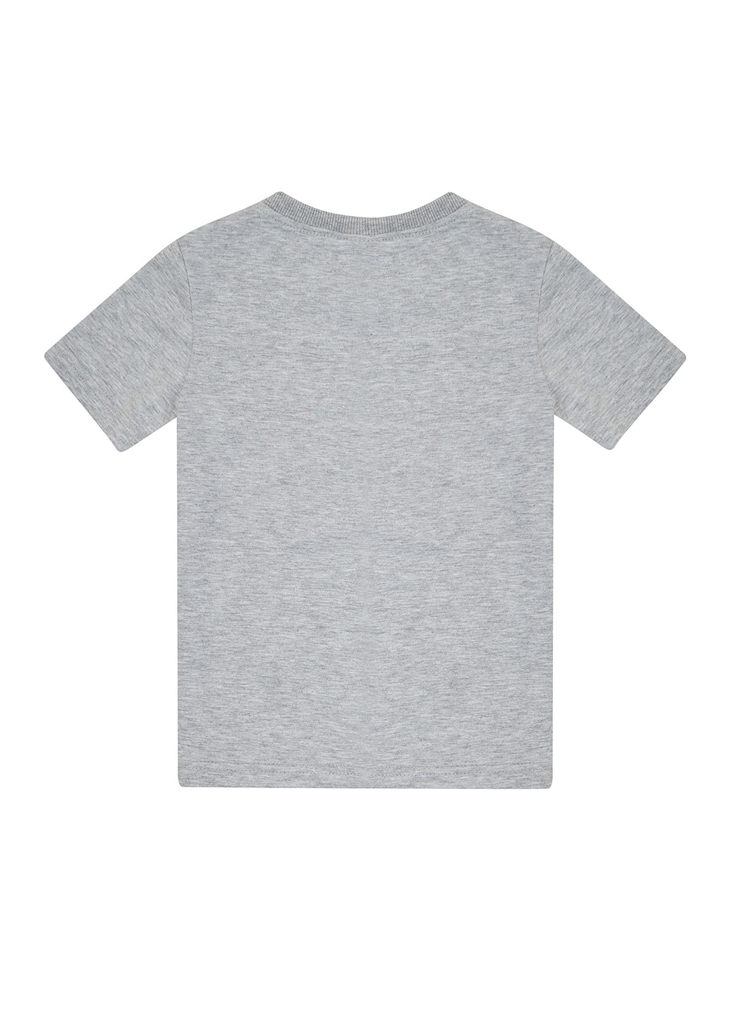 Серая летняя футболка Garnamama