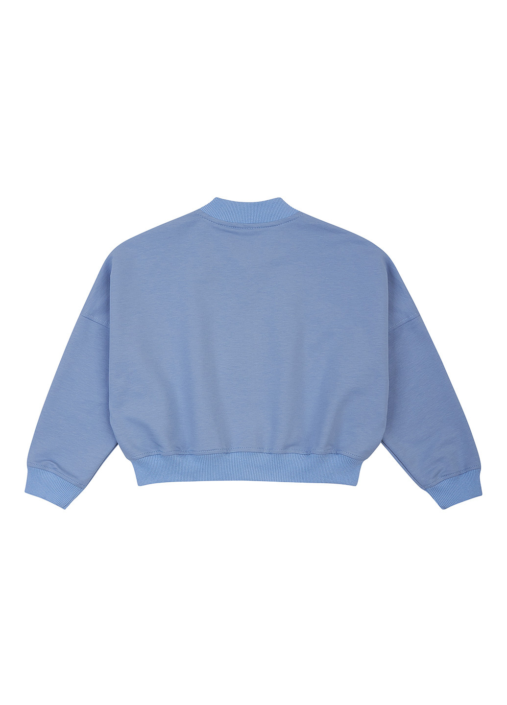 Голубой демисезонный комплект (бомбер, шорты) Garnamama