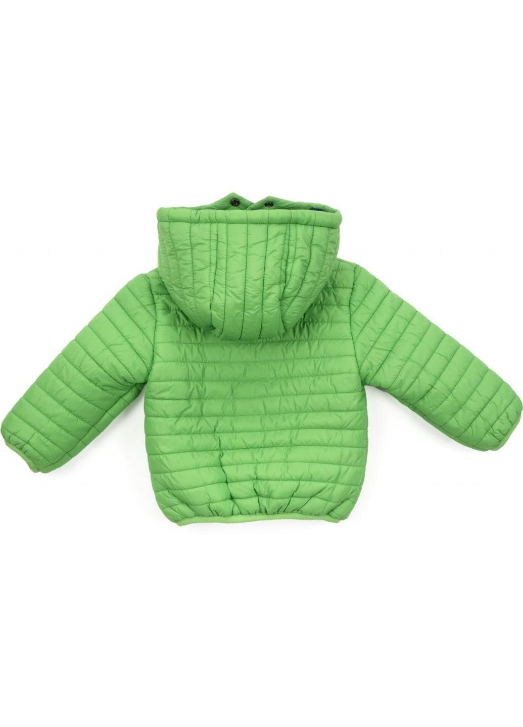 Салатовая демисезонная куртка стеганая (3379-80-green) Verscon