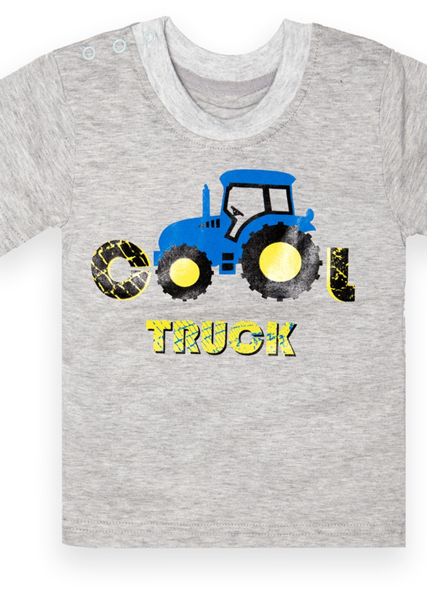 Серая летняя детская футболка для мальчика ft-22-5 *truck* Габби