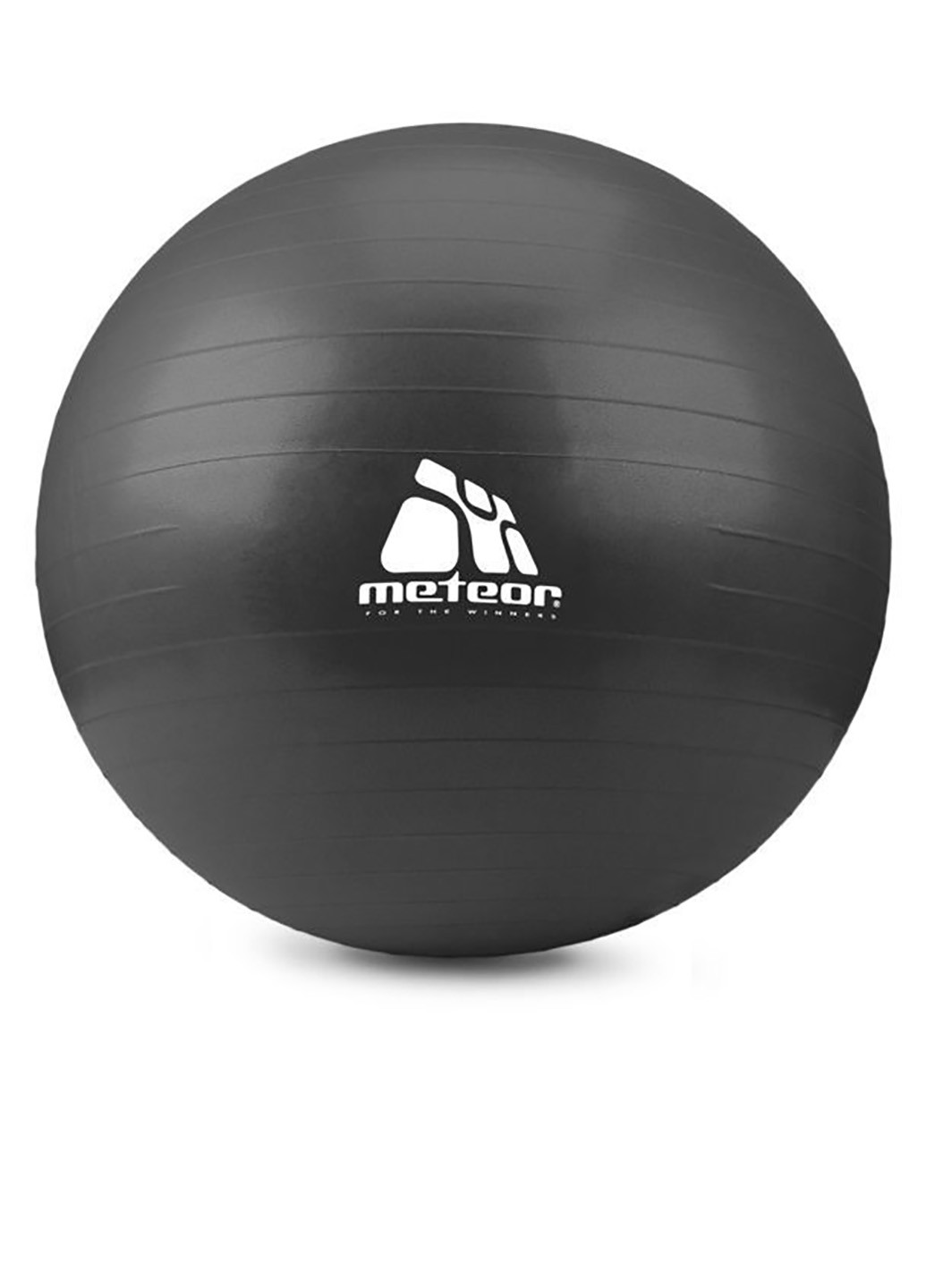 М'яч для фітнесу з насосом 75 см Meteor (224999495)