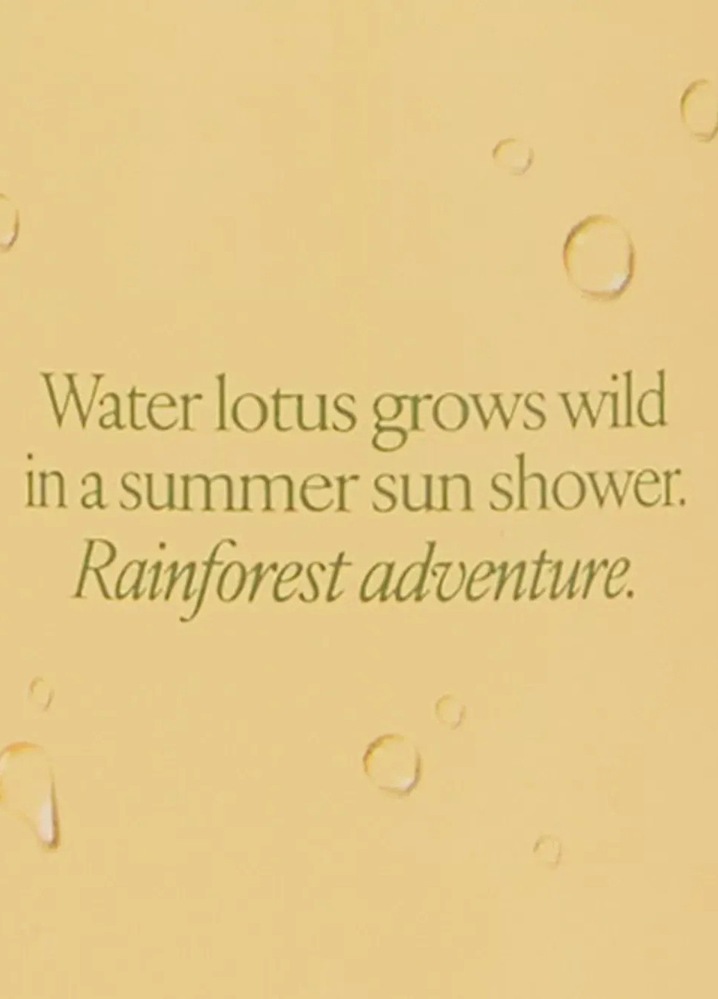 Набор Crisp Yuzu Orchid (мист, лосьон) Victoria's Secret (340318021)