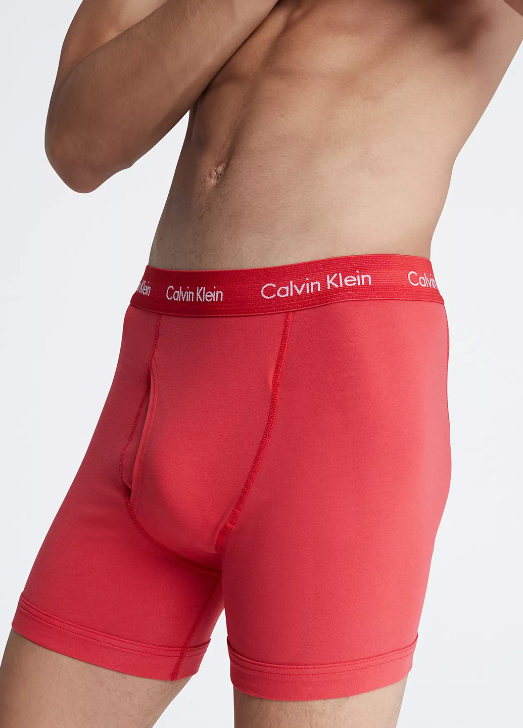 Труси (3 шт.) Calvin Klein (285456217)