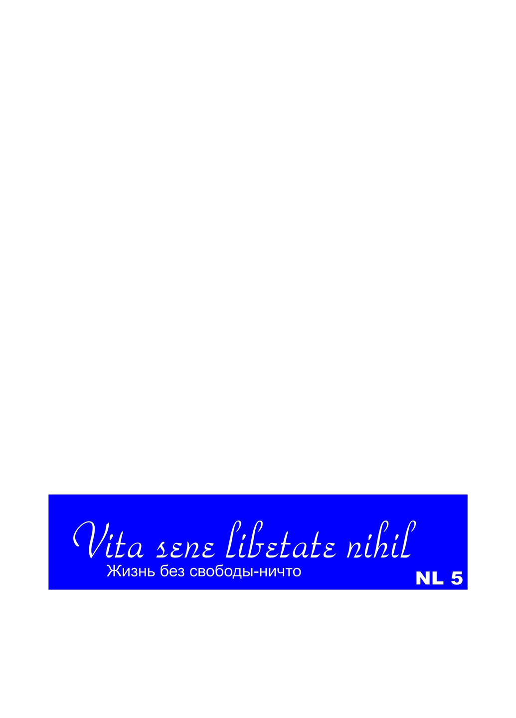 Трафарет для біотату Написи, NL 5 22х5 см Mayur (160879724)