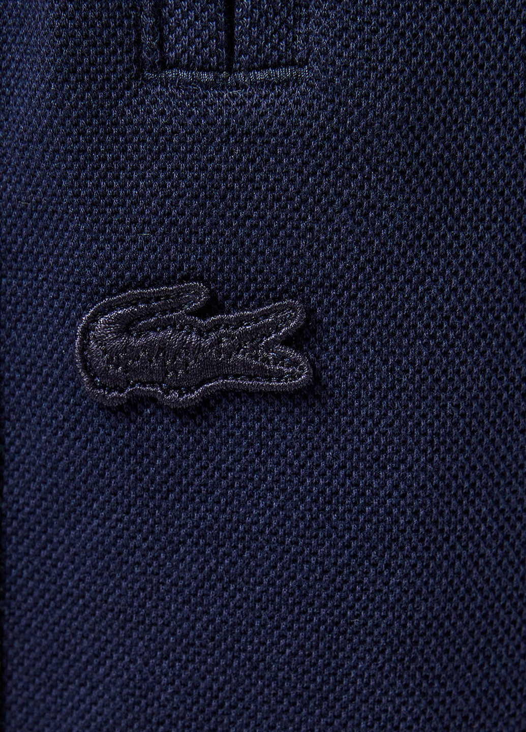 Штани Lacoste (329694478)