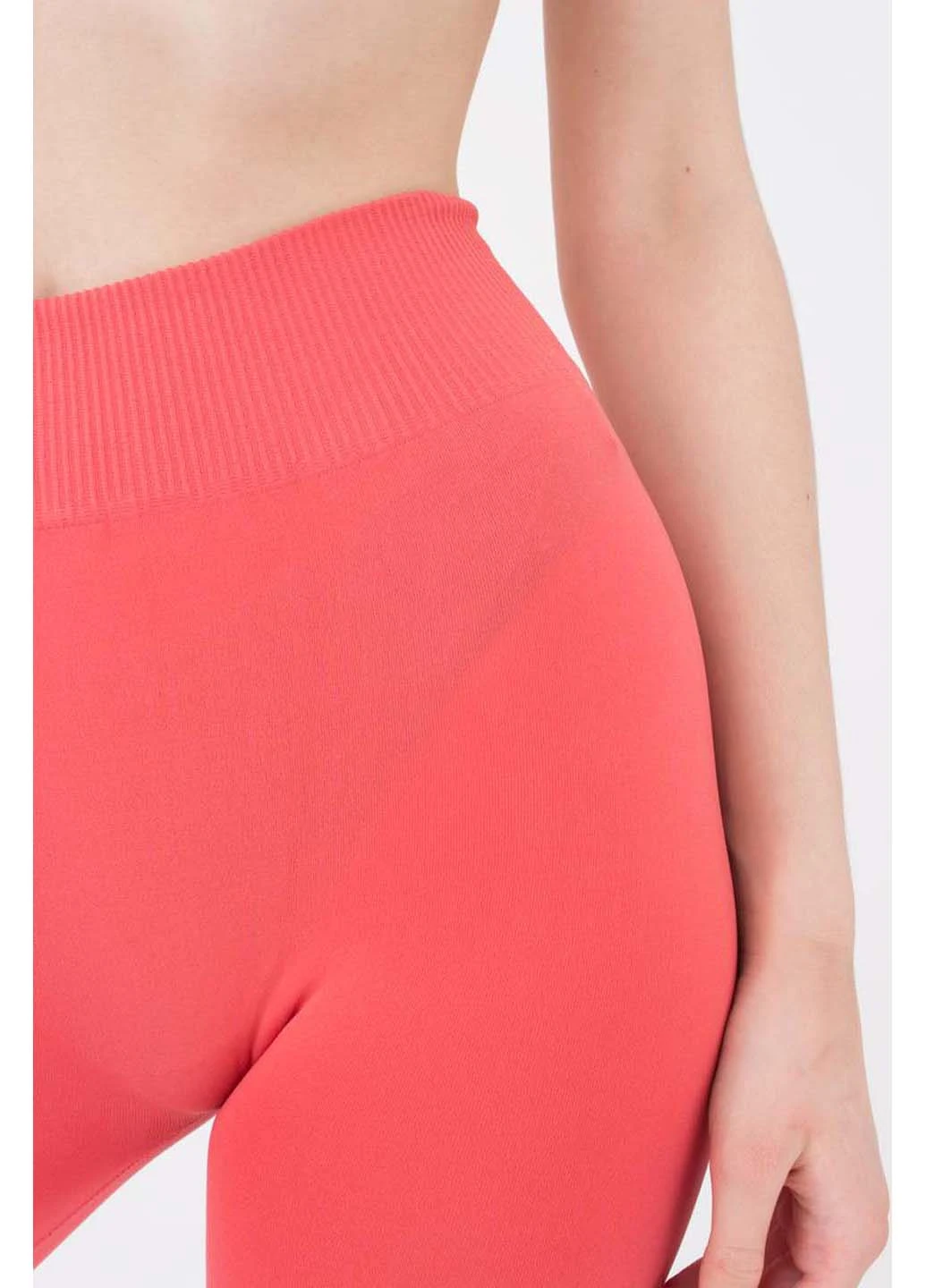 Легінси Giulia LEGGINGS (253155005)