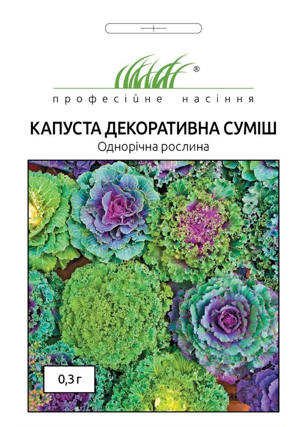 Насіння Капуста декоративна суміш 0,3 г Професійне насіння (215963506)